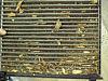 Here is why we change cabin air filter ...-pict0447.jpg