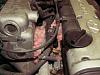 Got mice ?-pict0193.jpg