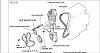 2001 Sonata 2.4L 6: low miles: should I replace timing belt?-timingbelt1.jpg