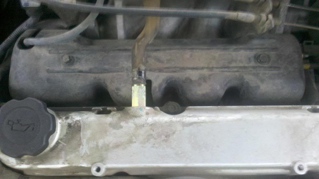 Name:  2010-12-039516-01-5995593.jpg
Views: 881
Size:  51.1 KB