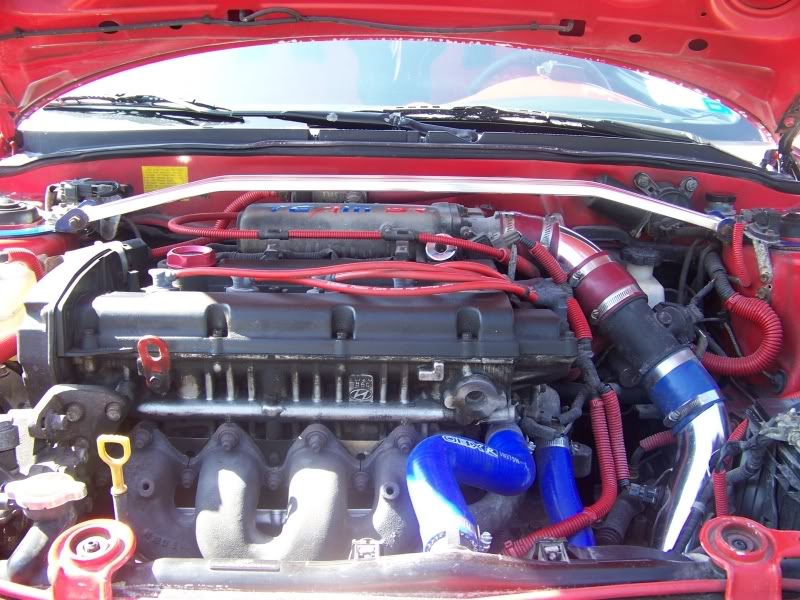 Name:  100_0816.jpg
Views: 270
Size:  104.7 KB