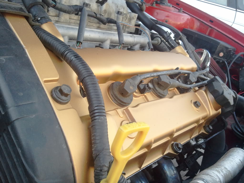 Name:  2011-02-14105553.jpg
Views: 177
Size:  128.8 KB