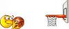 New Here-basket23ball.jpg